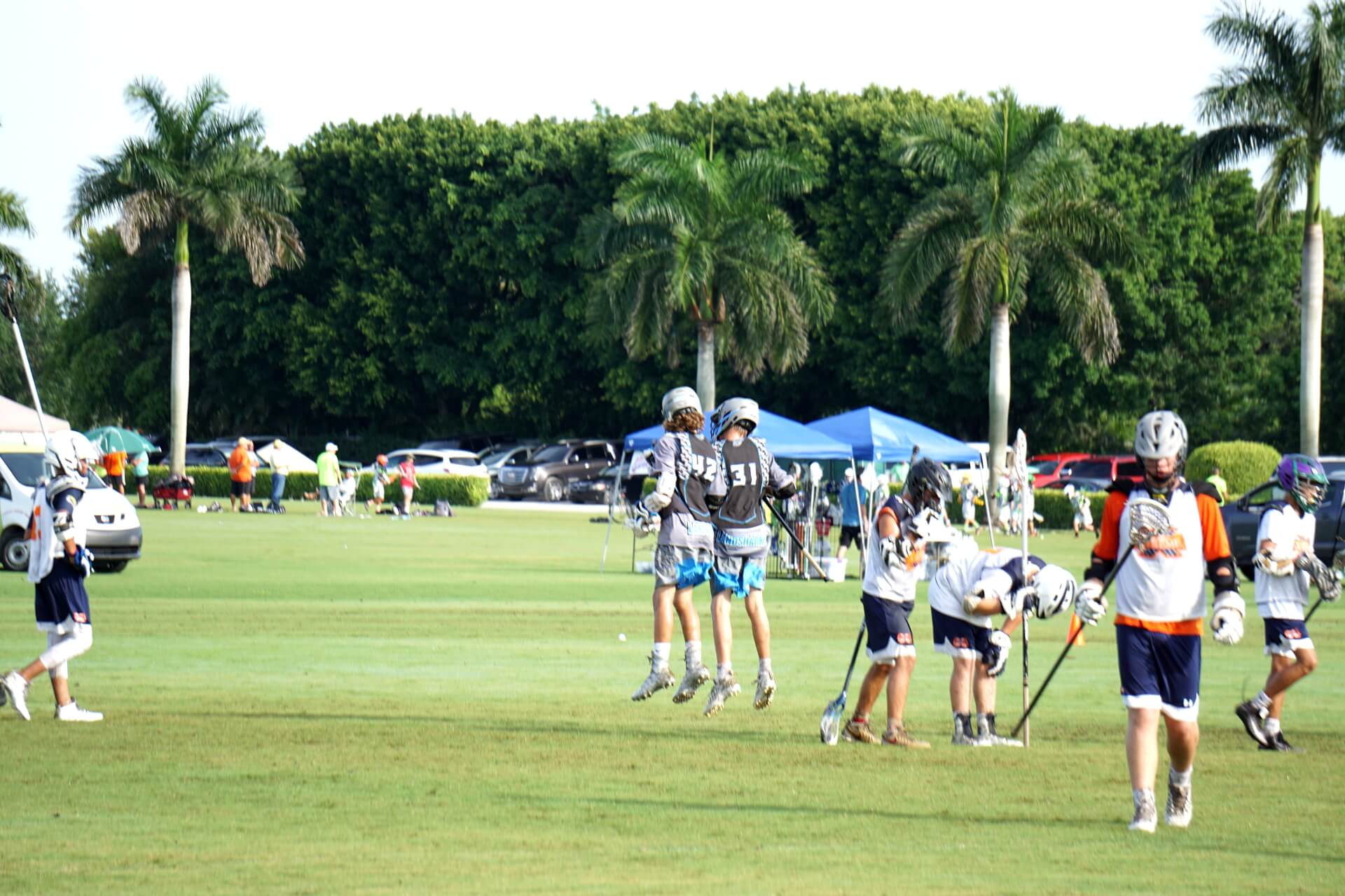 Lauderdale Landsharks Lacrosse Team
